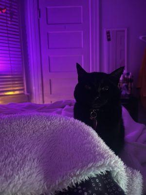 photo of Darleene H.