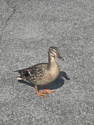 Photo of JesusHunter