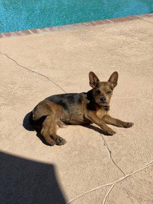 photo of Jessicah H.