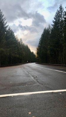 photo of Gabriella M.