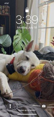 Photo of Breeanna P.