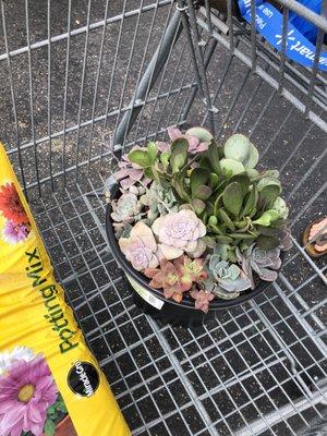 photo of José Luis R.