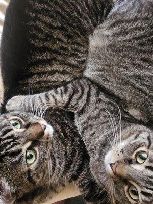 Photo of A T.