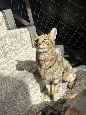 photo of Stephanie E.