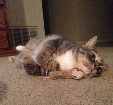 Photo of Stephanie R.