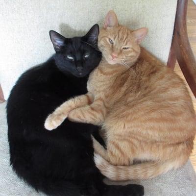 photo of Dorothee S.