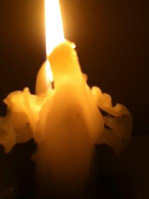 photo of Poetic-Justice1 D.