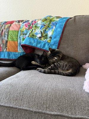 photo of Elizabeth D.