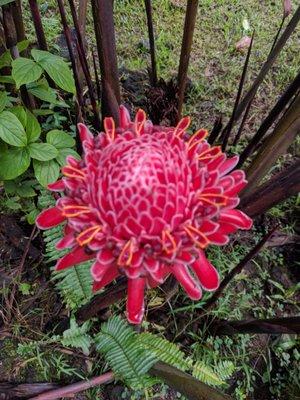 photo of Yong-Kang Z.