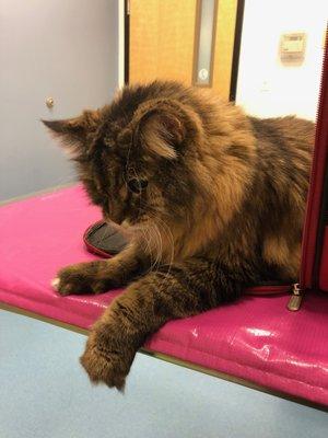 photo of LexiorJeff M.