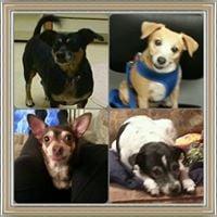 photo of Mara Robin G.