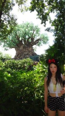 photo of Jacqueline T.