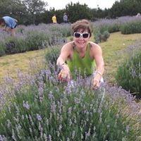Photo of Cathy B.