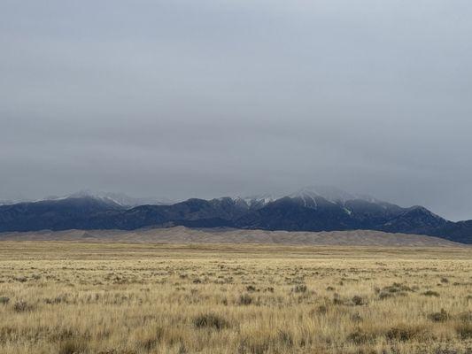Photo of Carly C.