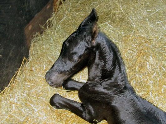 photo of Katherine R.