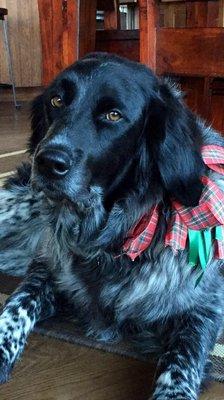 Photo of Hoss R.
