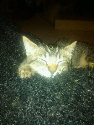 photo of Christine C.