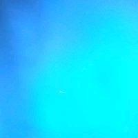 photo of Enchantress H.