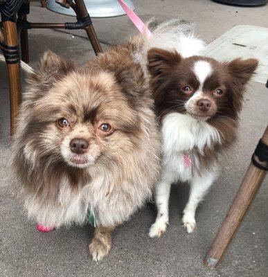 photo of Kathleen W.