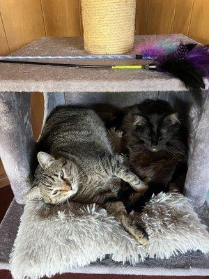 photo of Abhayada S.