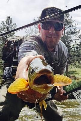 Photo of Mike C.