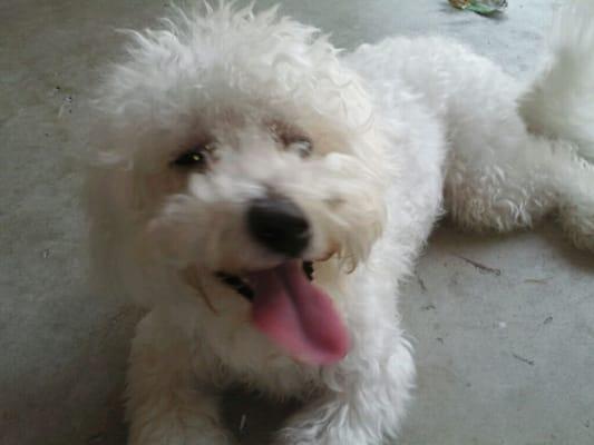 Photo of Tang D.