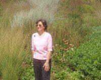 Photo of Jora Y.