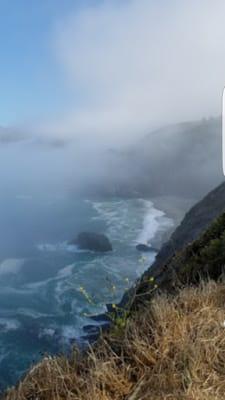 photo of Michelle M.