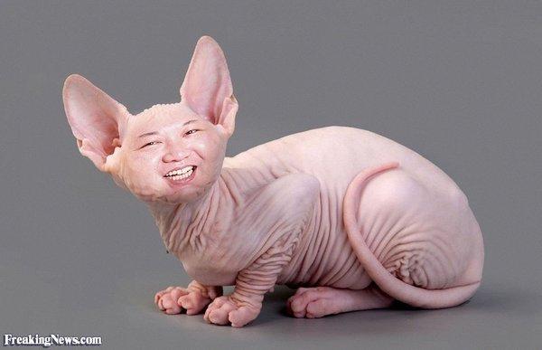 Photo of Dont W.