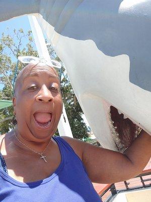 Photo of Rhonda F.