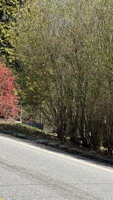 photo of Kimberly H.