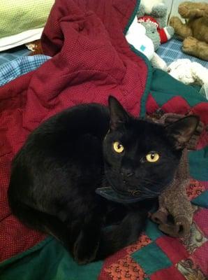 photo of Virginia C.