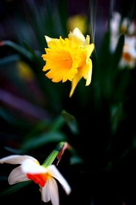 photo of Consumer I.