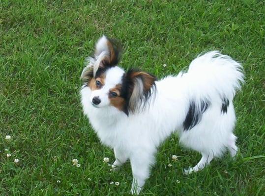 photo of Qype User (connyg…)