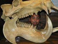 Photo of Manav P.