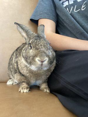 Photo of Cate_Solby _.