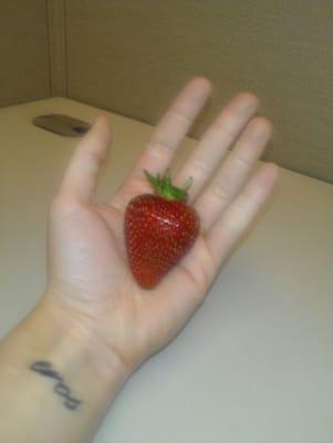 Photo of Carmageddon C.