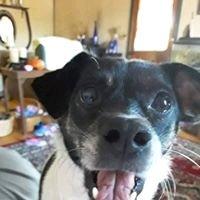 photo of Cheyenne B.