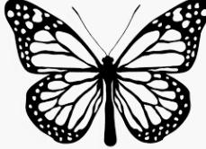 Photo of Giovanna N.