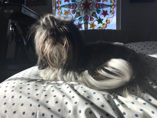 photo of Kristine G.