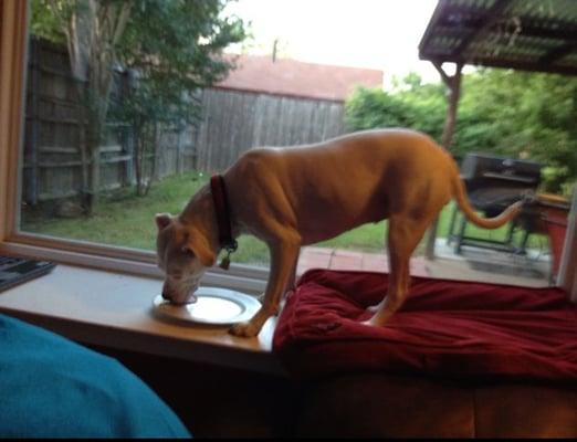 photo of Christopher B.