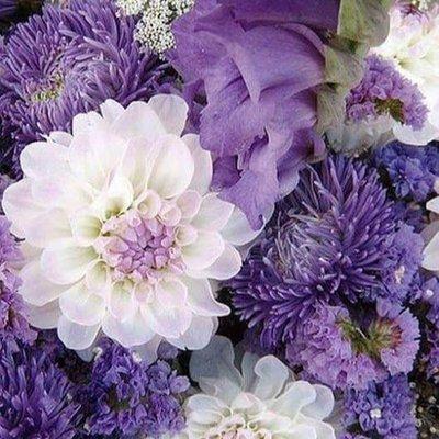 photo of Jeanette K.