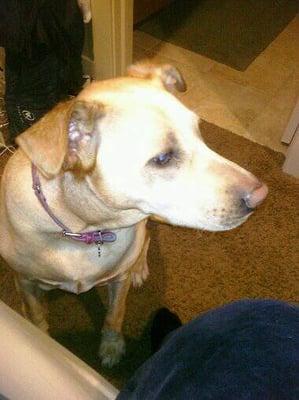 Photo of Cherie M.