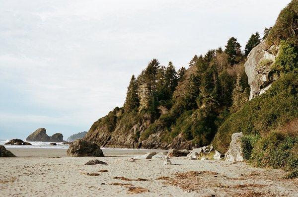 Photo of Van Gogh's E.