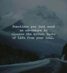 photo of MaryAnne D.