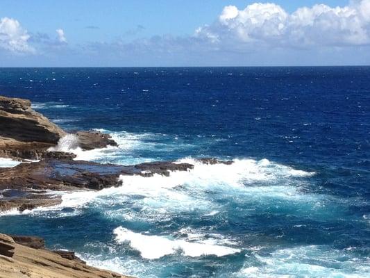 Photo of Jacquelyn N.