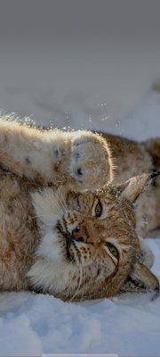 photo of The Outer Banks P.