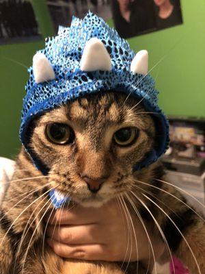 Photo of Jennifer L.