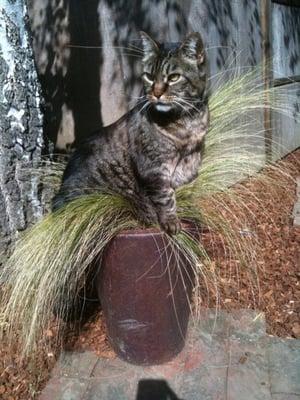 photo of Sharilyn S.