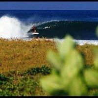 Photo of Chadd M.